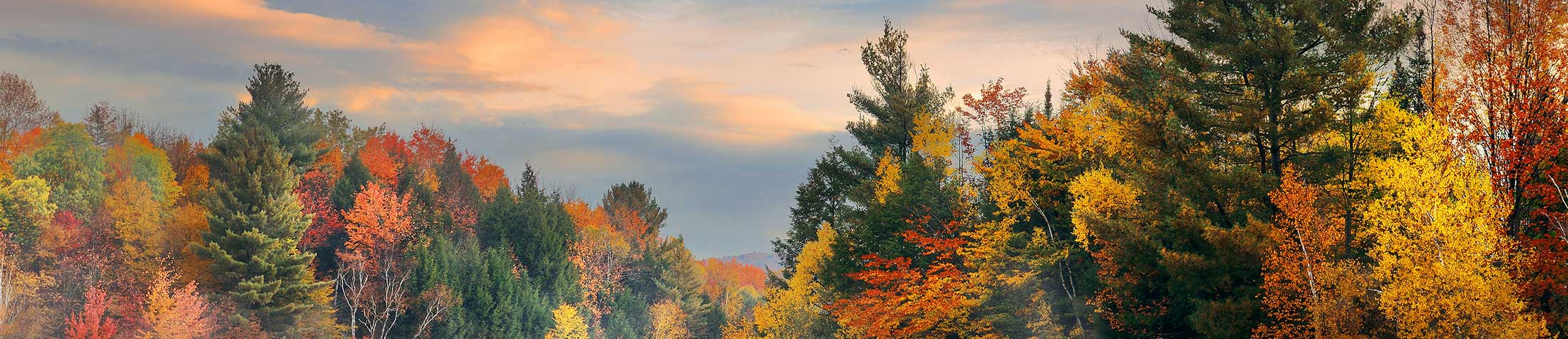 Vermont Restorative Dentistry Team